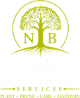 NB Tree & Gardens logo